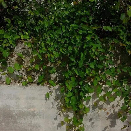 Penzion Jerica